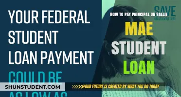 Paying Down Your Principal on Sallie Mae Student Loans