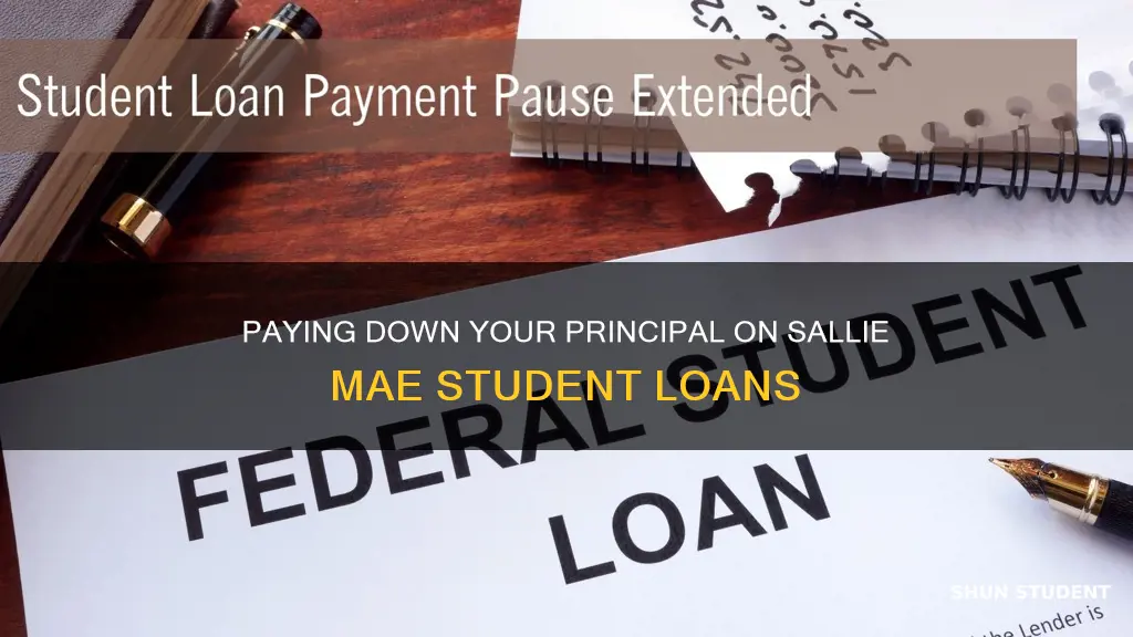 how to pay principal on sallie mae student loan