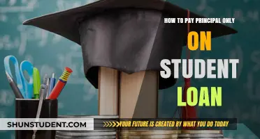 Principal Payments: Student Loan Strategy
