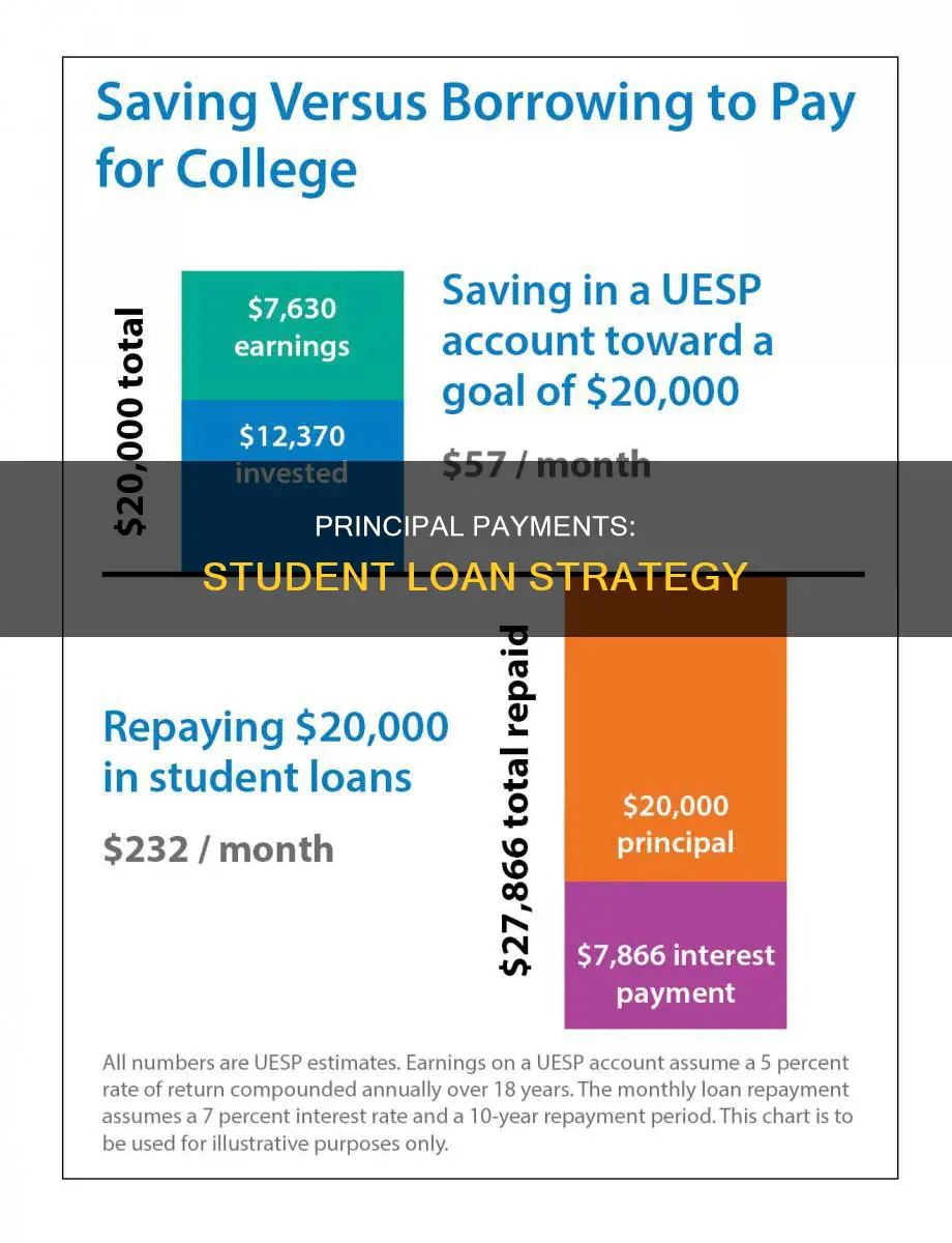 how to pay principal only on student loan