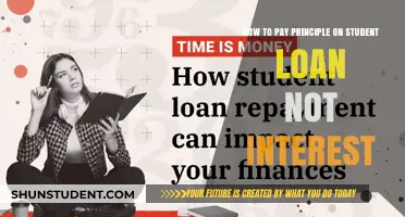 Paying Off Student Loans: Focus on Principal, Not Interest