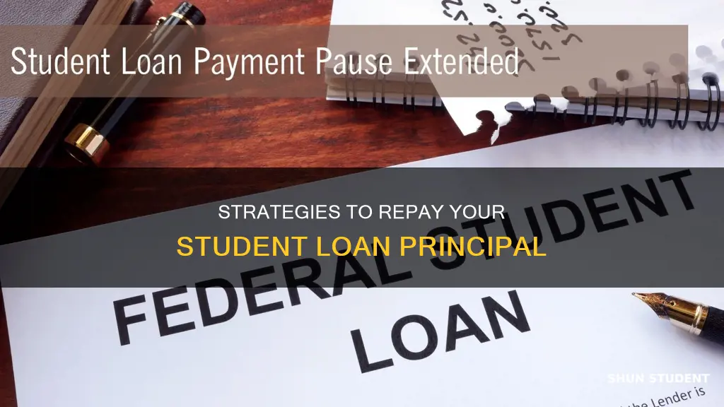 how to pay principle student loaan
