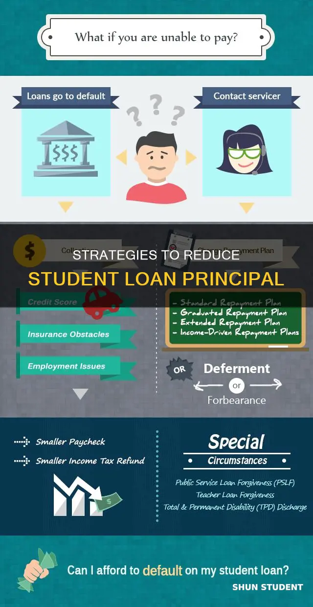 how to pay prinicple on student loans