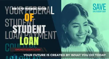 Student Loan Payment Strategies: Provincial Portion