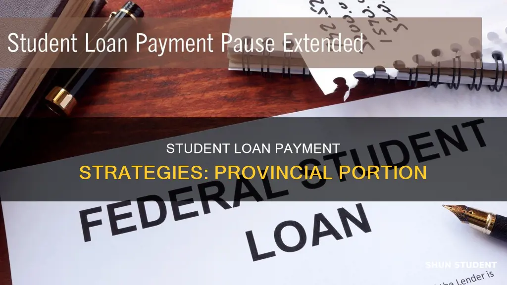 how to pay provincial portion of student loan