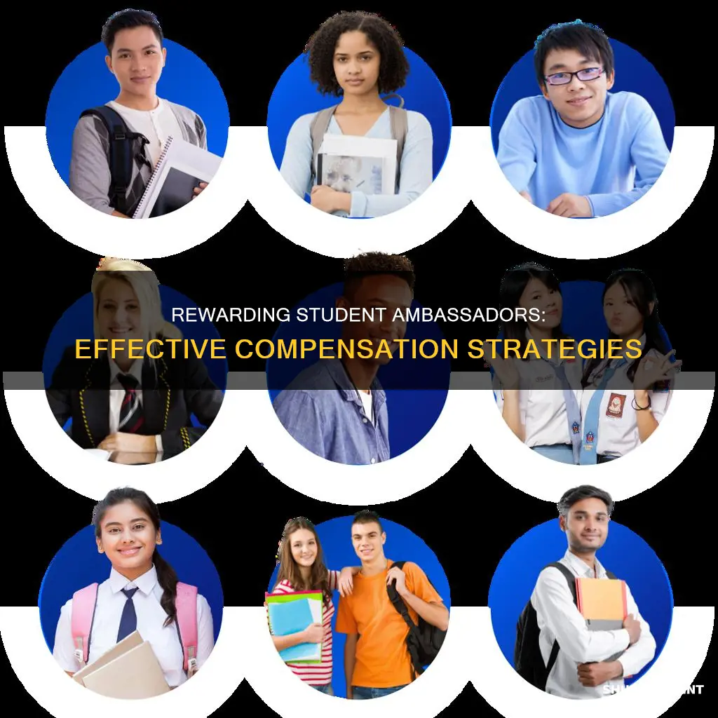 how to pay student ambassadors
