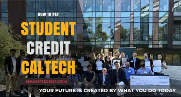 Student Credit: Paying for Caltech Education