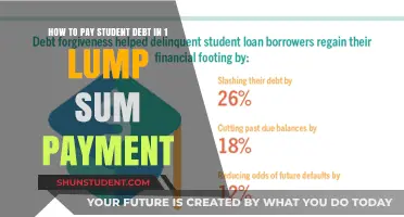 Eradicate Student Debt with One Payment