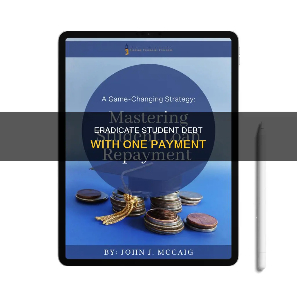 how to pay student debt in 1 lump sum payment