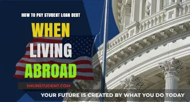Expat Student Loan Repayment: Strategies for Success