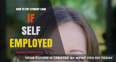 Self-Employed and in Debt: Paying Off Student Loans