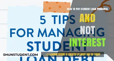 Paying Off Student Loans: Principal Reduction Strategies