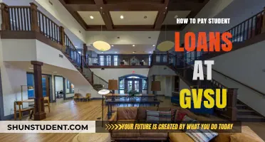 Student Loan Strategies: Paying Off GVSU Debt
