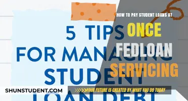 Student Loan Payment Strategies: FedLoan Servicing