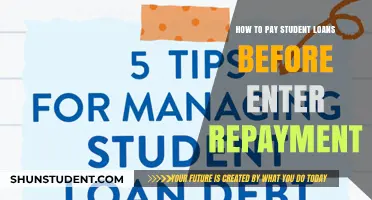 Strategies to Pay Off Student Loans Before Repayment