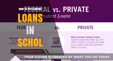 Strategizing Loan Repayment While in School