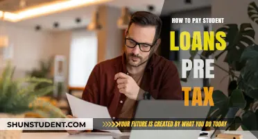 Student Loan Tax Strategies: Pre-Tax Payment Plans