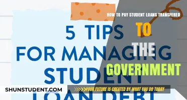 Student Loan Repayment: Government Transfer Options
