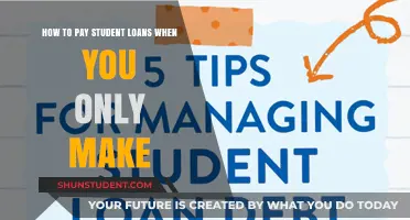 Earning Little? Strategies to Repay Student Loans