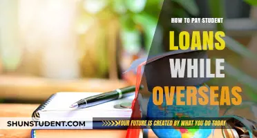Paying Off Student Loans While Overseas: A Guide