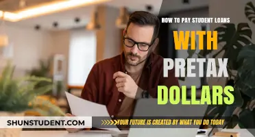 Student Loan Payment Strategies: Pre-tax Dollars