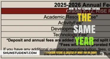 Paying Tuition Fees: Same Year Strategies