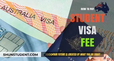 Student Visa Fee Payment: A Step-by-Step Guide
