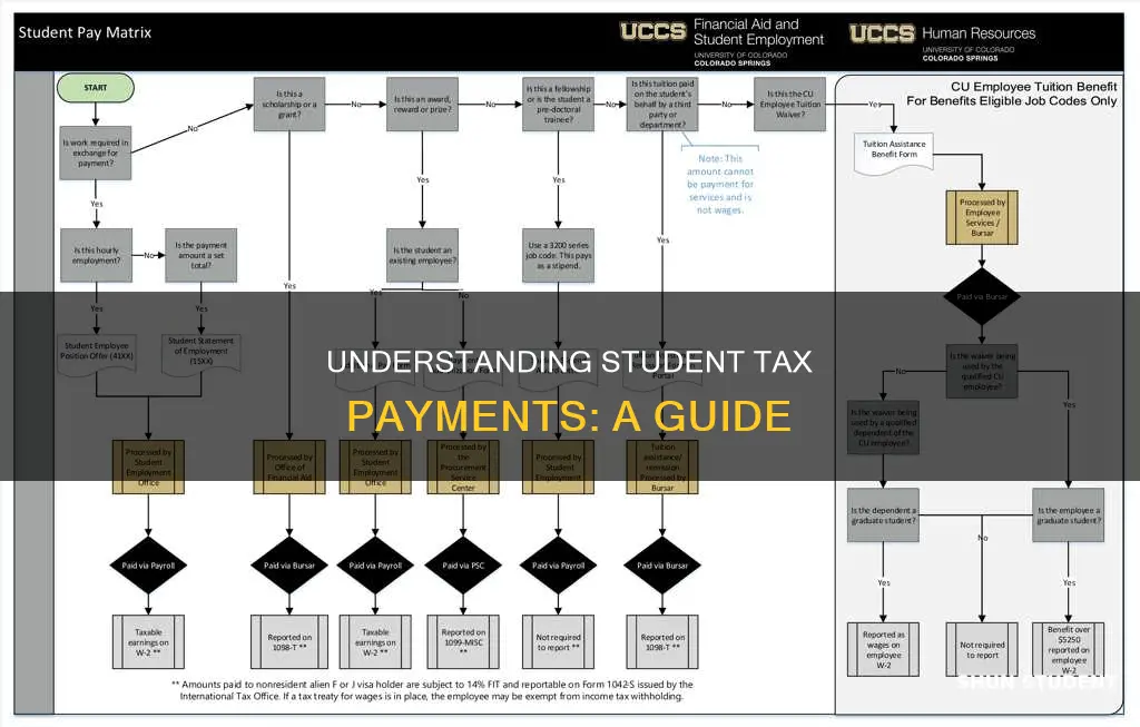 how to pay taxes as a student