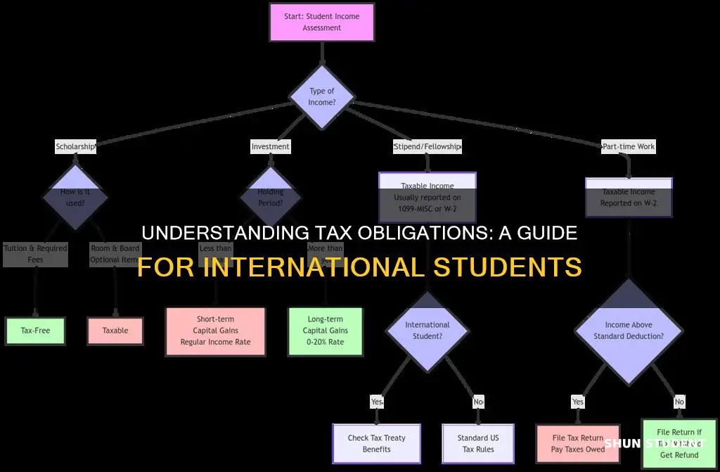 how to pay taxes as an international student