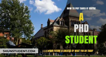 Understanding Your Tax Obligations as a PhD Student