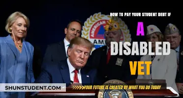 Disabled Vets: Repaying Student Debt with Available Options