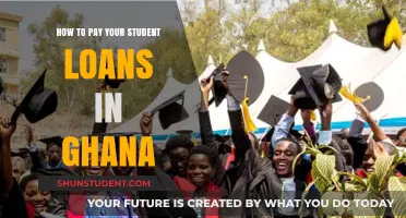 Student Loans in Ghana: Repayment Strategies