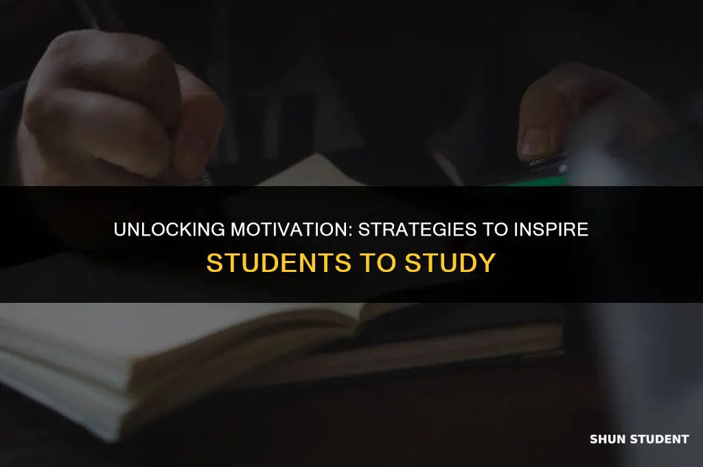 how to persuade students to study