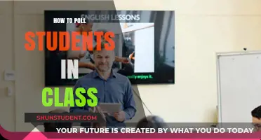 Engaging Minds: Innovative Ways to Poll Students in Class