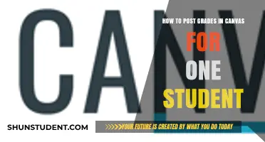 Effortlessly Post Grades for Individual Students in Canvas