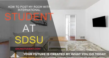 SDSU Students: How to Post Your Room Internationally