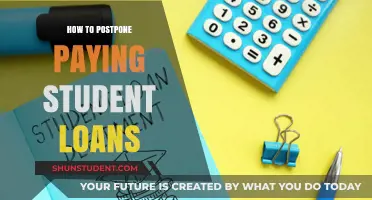 Delay Student Loan Payments: Strategies to Defer Repayment