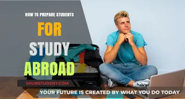 Empowering Students for Global Success: A Study Abroad Preparation Guide