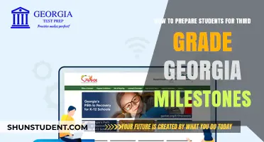 Empowering Students: A Guide to Georgia Milestones Success in Third Grade
