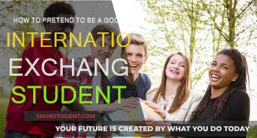 Pretending to Be an Ideal Exchange Student: Tips and Tricks