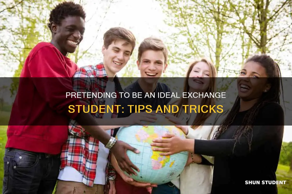 how to pretend to be a good international exchange student