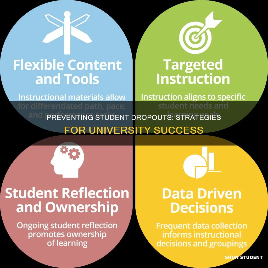 how to prevent students dropping out of university