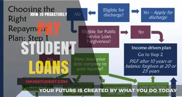 Strategic Student Loan Payment Plans: Proactive Steps to Take