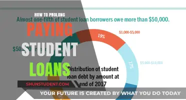 Delay Student Loan Payments: Strategies for Prolonging Repayment