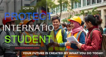 Protecting International Students: A Guide to Their Safety