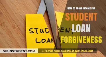 Proving Income for Student Loan Forgiveness: A Step-by-Step Guide