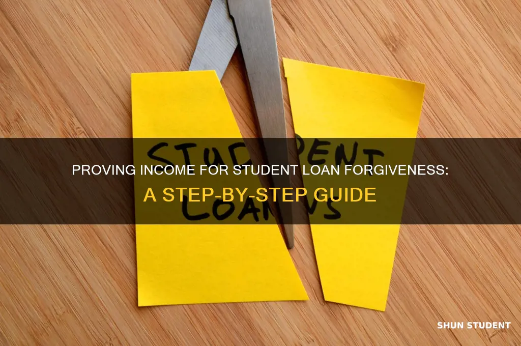 how to prove income for student loan forgiveness