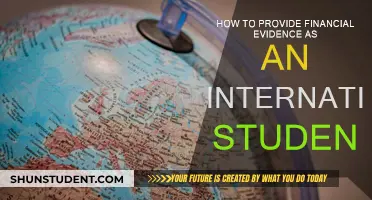 Financial Evidence: International Students' Guide to Success