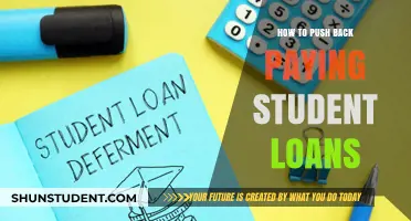 Delay Student Loan Payments: Know Your Options