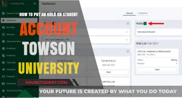 Student Account Holds: Towson University Guide
